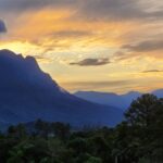 WhatsApp Image 2025-03-05 at 16.22.53 (1)