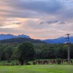 WhatsApp Image 2025-03-05 at 16.22.53